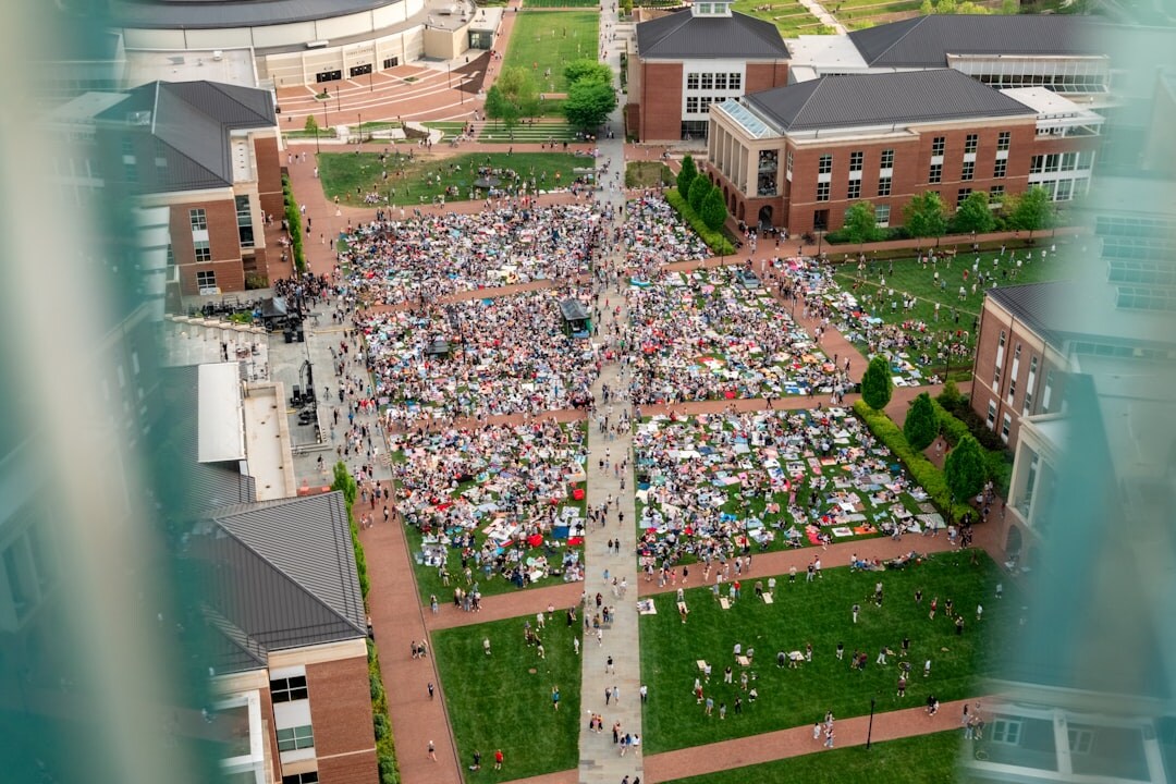 crowd at outdoor concert