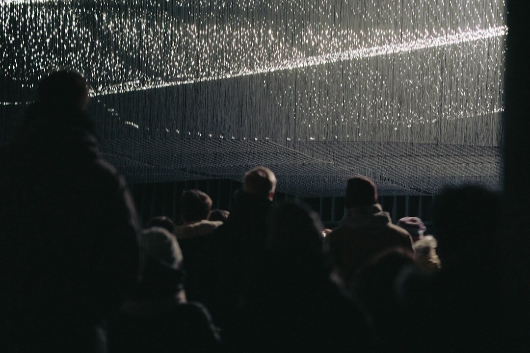 large crowd at vilnius concert